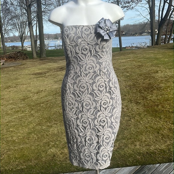 Suzi Chin for Maggy Boutique Dresses & Skirts - Suzi Chin Maggy Boutique lovely lace strapless dress 10-12